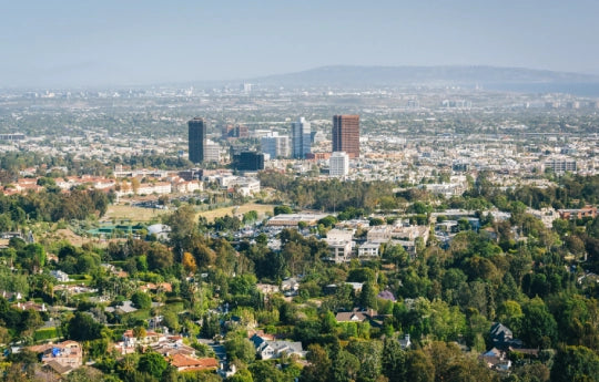 Sawtelle